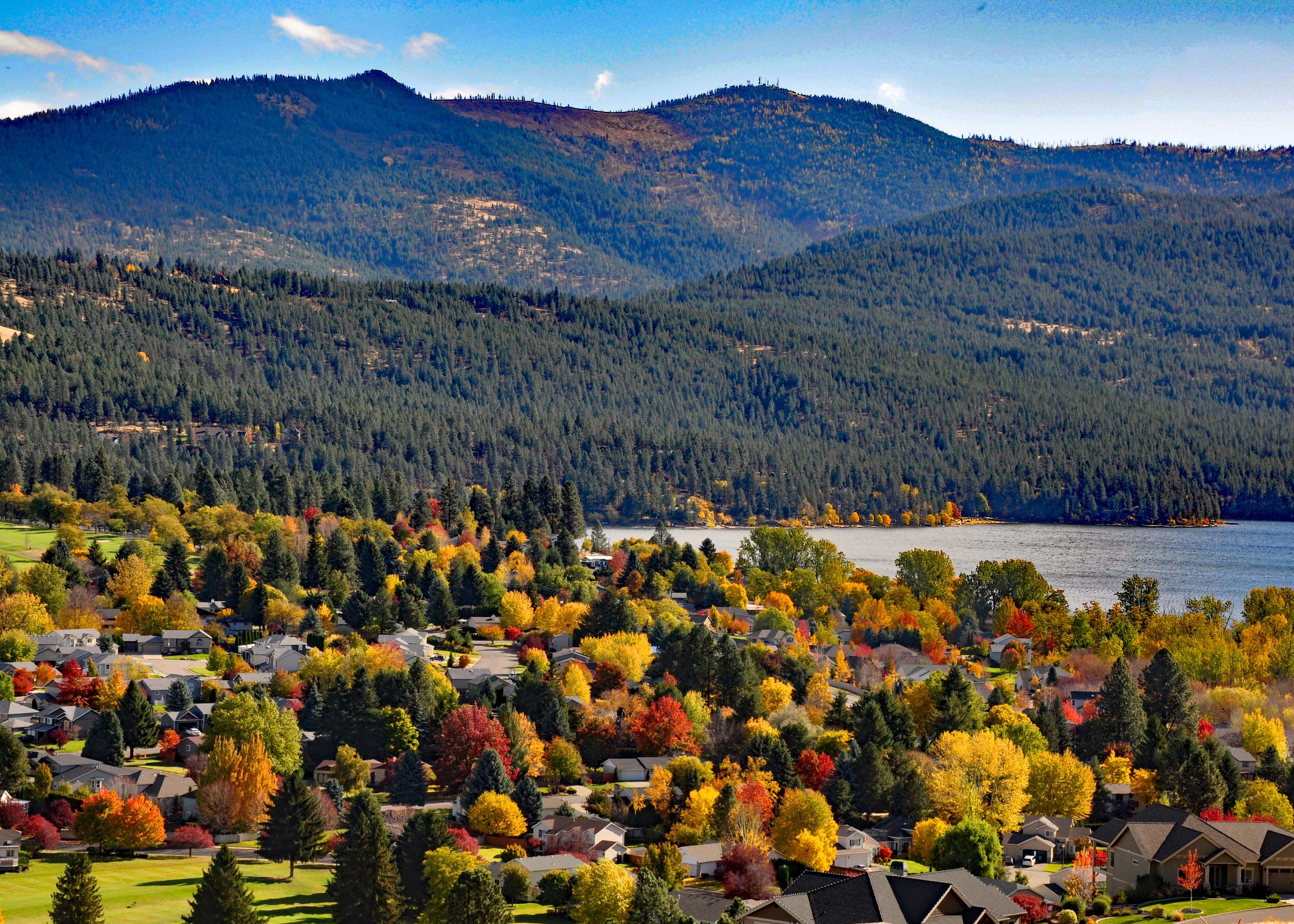 What is Your Home Worth Windermere Spokane  Valley 