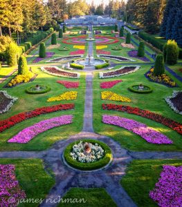 Duncan Gardens