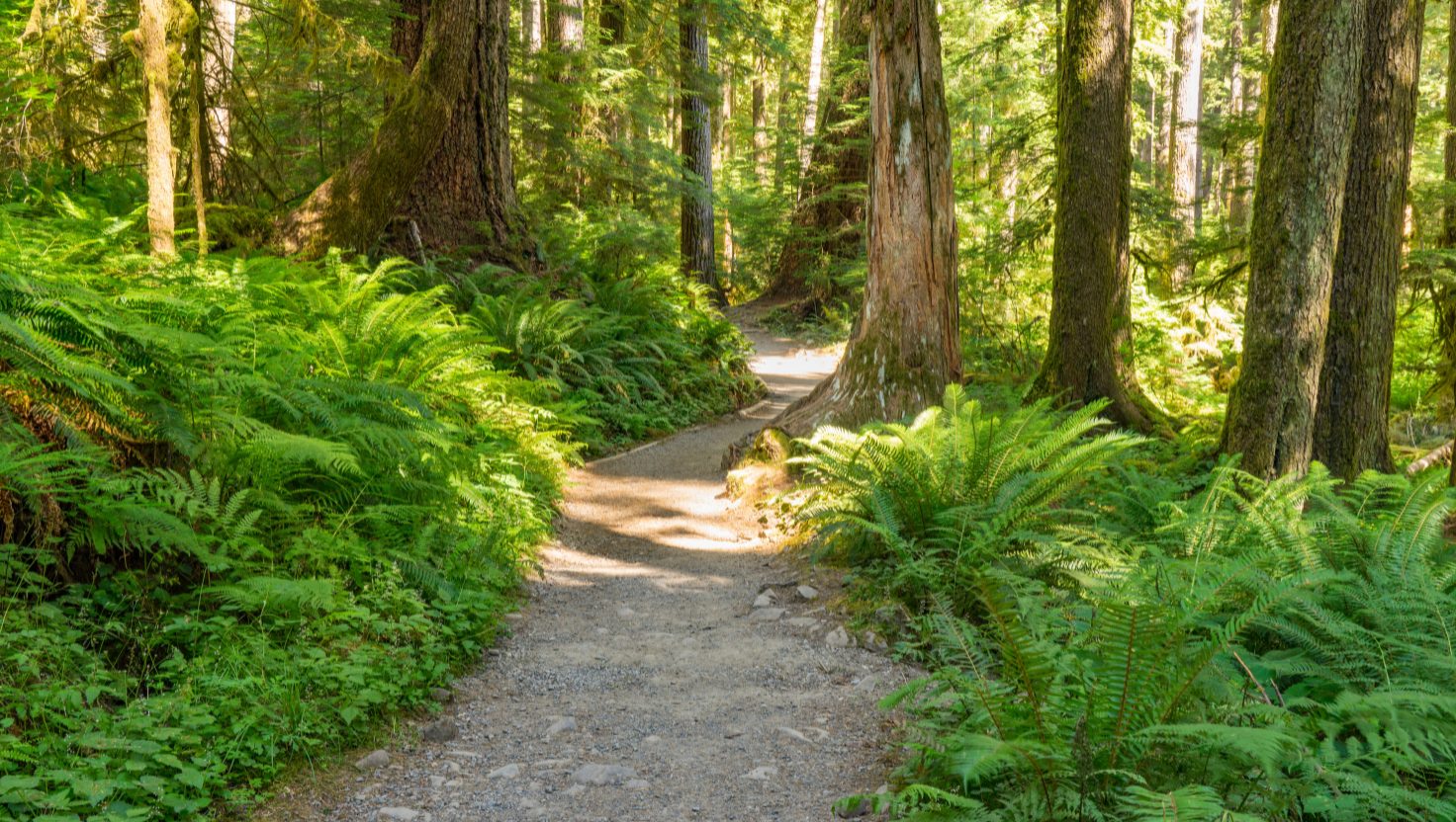 hiking