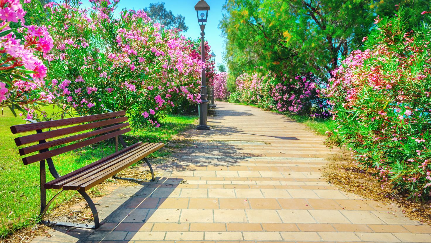 parks and gardens